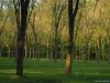 Monza - Parco di Villa Reale