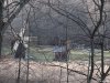 Muzeul Satului Astra din Sibiu