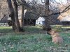 Muzeul Satului Astra din Sibiu