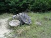 Muzeul Trovantilor Costesti - Valcea