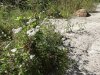 Muzeul Trovantilor Costesti - Valcea