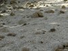 Muzeul Trovantilor Costesti - Valcea