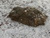 Muzeul Trovantilor Costesti - Valcea