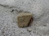Muzeul Trovantilor Costesti - Valcea
