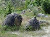Muzeul Trovantilor Costesti - Valcea