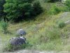 Muzeul Trovantilor Costesti - Valcea
