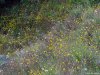 Muzeul Trovantilor Costesti - Valcea