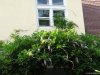 Palatul Brukenthal din Avrig