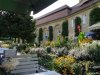 Palatul Brukenthal din Avrig