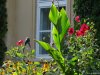 Palatul Brukenthal din Avrig