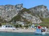 Palmarola