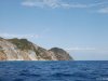 Palmarola