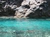 Palmarola