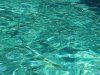 Palmarola