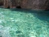 Palmarola