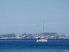 Palmarola
