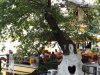 Insula Thassos - Panagia
