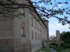 Pavia