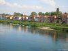 Pavia
