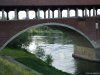 Pavia