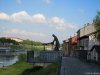 Pavia
