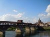Pavia