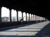 Pavia