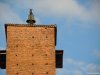 Pavia