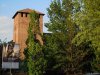 Pavia