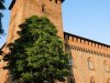 Pavia