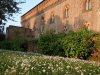 Pavia