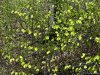 Pestera Valea Cetatii