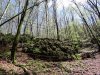 Pestera Valea Cetatii