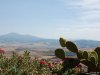 Pienza