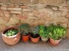 Pienza