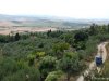 Pienza