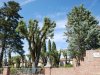 Pienza