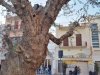 Polignano a Mare