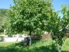 Manastirea Polovragi