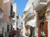 Ponza