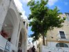 Ponza