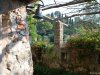 Portofino