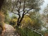 Portofino