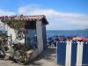 Procida