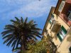 Rapallo