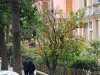 Rapallo