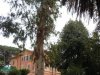 Rapallo - Parcul Luigi Casale