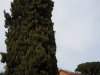 Rapallo - Parcul Luigi Casale