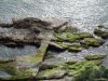 Rapallo - Parcul Luigi Casale
