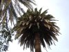 Rapallo - Parcul Luigi Casale